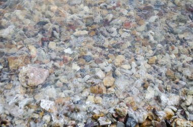 Taş plaj ve deniz hayvanı kabuğu ile denizde dalga su hareketi 