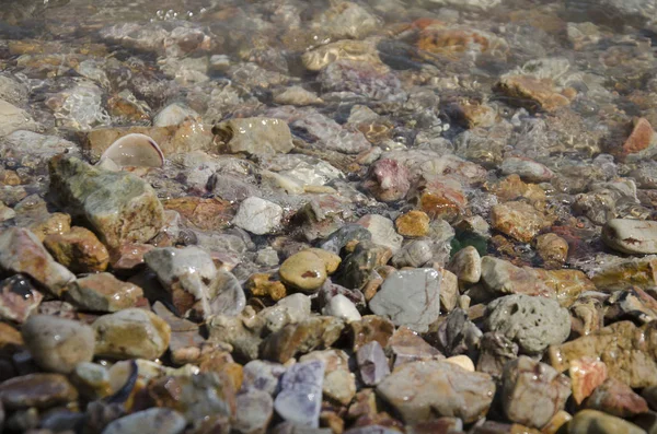Taş plaj ve deniz hayvanı kabuğu ile denizde dalga su hareketi 