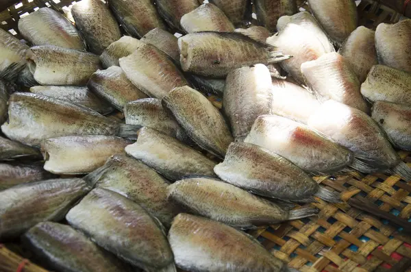 Poisson cru séché ou conserves de poisson Gourami à vendre dans un magasin local — Photo