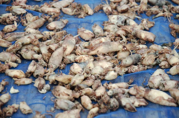 Getrocknete rohe Beka-Tintenfischkonserven zum Verkauf an Verkäufer Meeresfrüchte-Geschäft — Stockfoto