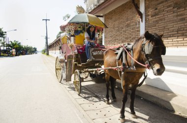 Yolcuları Taylandlı kadınların at ile poz taşıma tou önce çizilmiş