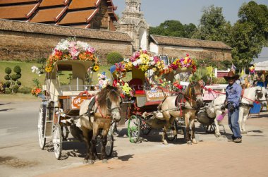 Hizmet tur atlar çizilmiş taşıma bekleyen yolcular insanlar kullanma 