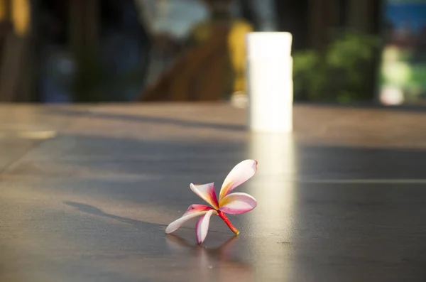 Plumeria ou Frangipani ou Templetree Flores sobre mesa de madeira sagacidade — Fotografia de Stock