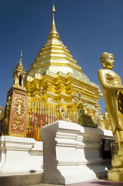 Золотой чеди для тайцев и иностранцев уважение молиться и posi — стоковое фото