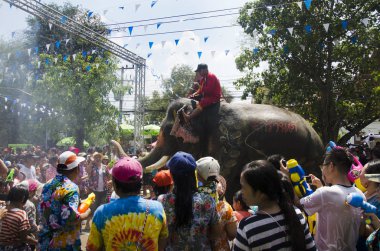Oynama ve su sıçramasına Tay insanlar ve yabancı yolcuları 