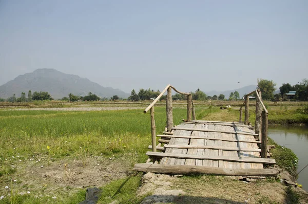 Wooden bamboo bridge with landscape rice field mountain at Tai D — Stock Photo, Image