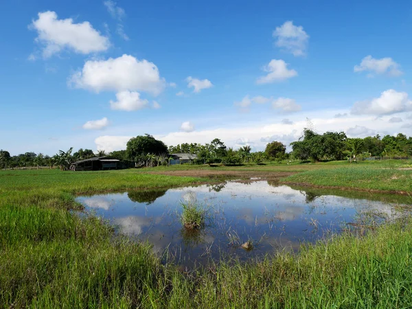 Landschap van groeien plant gewassen en aquacultuur natuurlijke visvijvers — Stockfoto