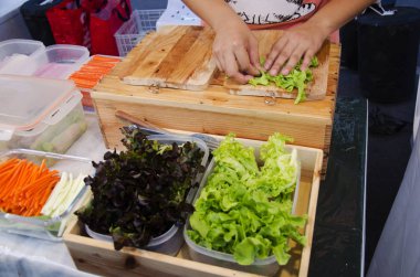 Tay Pişirme taze sebze organik salata pirinç levha rol insanlar