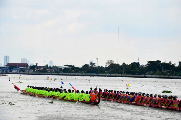 Tay insanlar maç ve rekabet katılmak Tayland geleneksel l