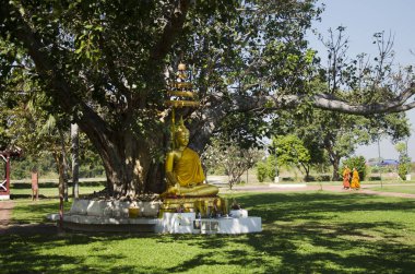 Altın Buda heykelini Bahçe, açık 