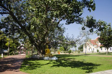 Altın Buda heykelini Bahçe, açık 