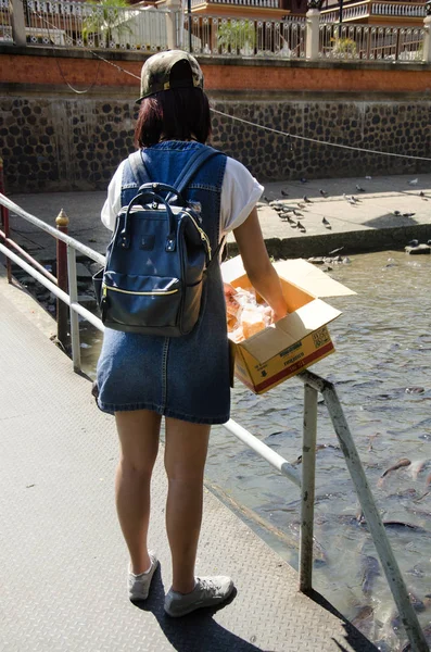 Asiática tailandesa chica personas alimentación comida a los peces en Chao phraya río — Foto de Stock
