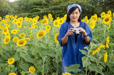 Asya Taylandlı kadın fotoğraf ayçiçeği çiçek fiel çekim kamera kullanmak