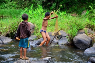 Laotian children fisher using fishing net catch fish in stream o clipart