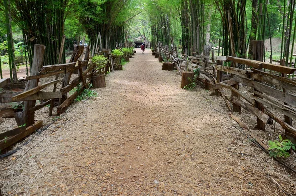 Reizigers mensen lopen op loopbrug steenslag in bamboe grot — Stockfoto