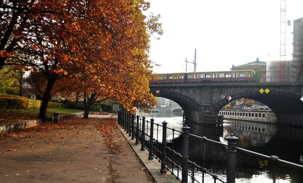 Vue paysage de jardin avec des réseaux de tramway en automne à — Photo