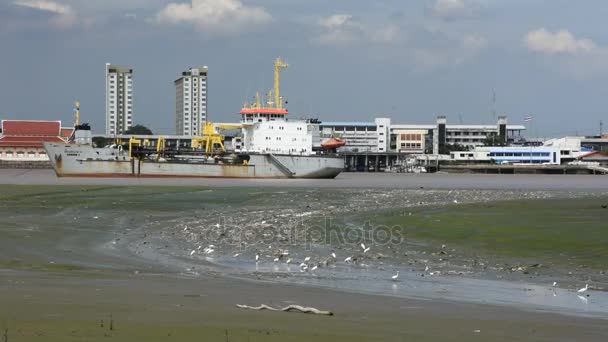 Logistieke schip stop wachten waterstand tot monding van de Chao phraya rivier — Stockvideo