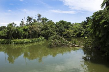 Sri Nakhon Khuean Khan Park ve Botanik Bahçesi veya khung bang k