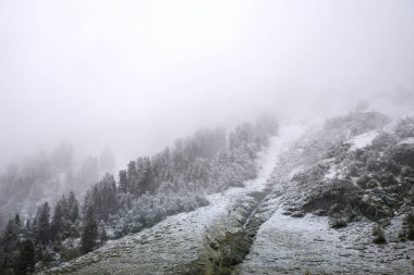 Alp ağaç üstündeki mou üzerinde kapalı kar manzara görüntülemek