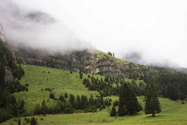 Forest and mountain in Kaunergrat nature park in Tyrol, Austria — Stock Photo, Image