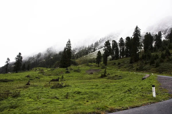 Strada per andare in cima alla montagna nel parco naturale Kaunergrat vicino — Foto Stock