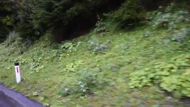 Kaunergrat 自然公園の山の上に行く間の道路沿いの風景 — ストック動画