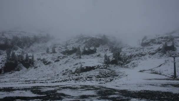 Kaunergrat doğa parkı dağda üstündeki Alp ağaç üzerinde kar kaplı — Stok video