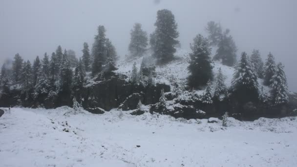 Snötäckta snöar på Alpina träd på toppen av berget i Kaunergrat naturpark — Stockvideo
