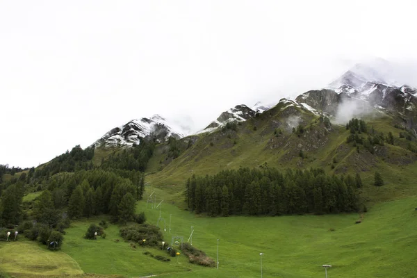 Alp ağaç orman Alpler en yüksek ve en eski ile dağda — Stok fotoğraf