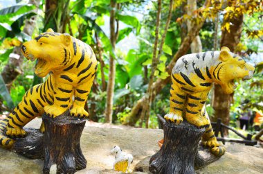 Kaplan figürü heykeli tapınak Tanrı'nın adı Phaya Phu Kha Doi p