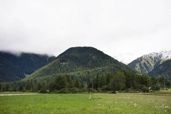 Ver paisaje de montaña y campo de hierba al lado de la carretera en Schnal — Foto de Stock