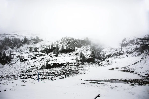 Visa liggande snö snöar täckt på tall på toppen av mount — Stockfoto