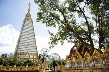 Wat Phra Bua tapınakta: Ubon Ratchathani, Thailand Nong o