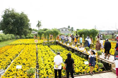 Yolcuları Tay insanlar ziyaret ve alışveriş ile fotoğraf çekmek