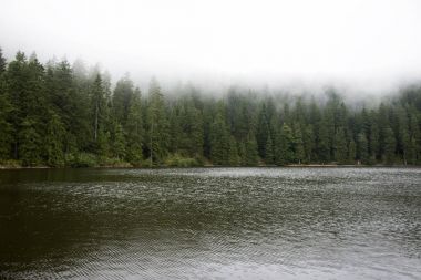 Mummelsee Gölü kara orman veya Schwarzwald Baden-wurttembe