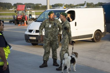 Ukraynalı asker sniffer köpek ayakta devriye ve kontrol ile 