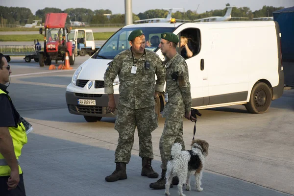 Ukraynalı asker sniffer köpek ayakta devriye ve kontrol ile 