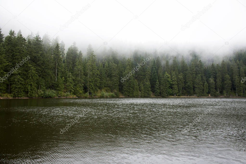 Mummelsee lake in Black Forest or Schwarzwald at Baden-wurttembe
