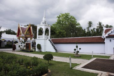 WAT phra st yağmur sırasında bu sawi tapınağın Chumphon, Tayland