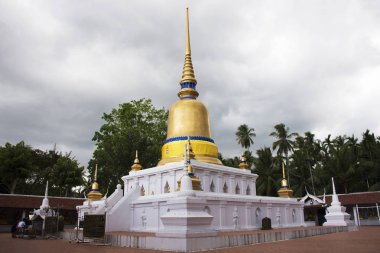 WAT phra st yağmur sırasında bu sawi tapınağın Chumphon, Tayland