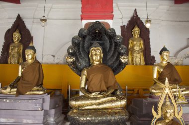Tay insanlar saygı ve Wat Phra Mahathat Wora Buda dua
