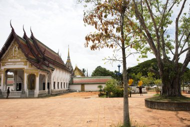 Wat Phra Borommathat Chaiya Tapınağı Surat T Chaiya İlçesi'nde