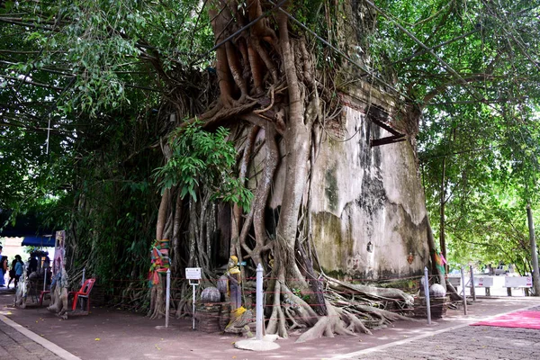 Tailandês pessoas visitam viagens e re-septo orando com o velho buddha sta — Fotografia de Stock