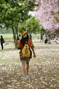 Asya seyahat etmek Tay insanlar seyahat ve pembe trumpe ziyaret edin