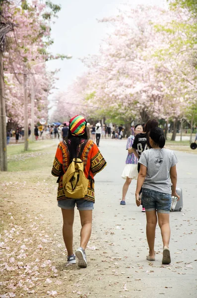 Asiatische Reisende thailändische Menschen zu Fuß reisen und besuchen rosa Trompete — Stockfoto