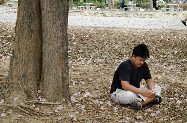 Asiático tailandés los hombres sentarse en piso y lectura libro bajo rosa trompeta — Foto de Stock