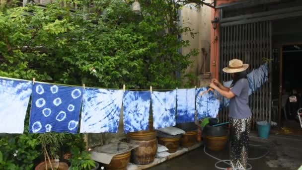 Kravat Batik Çivit Rengi Veya Mauhom Renk Boyama Güneşin Garden — Stok video