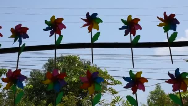 Colorful Pinwheel Windmill Toy Made Plastic Bottle Recycle Garden Outdoor — Stock Video