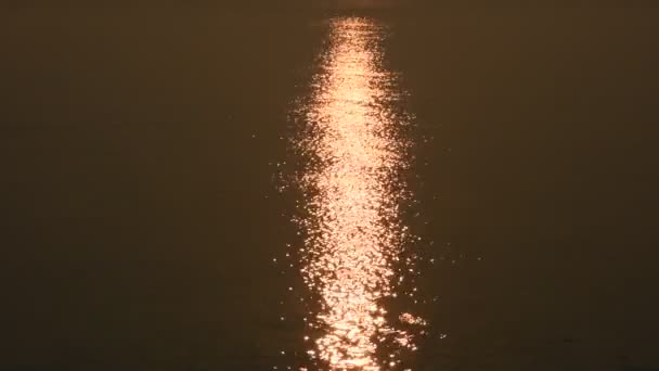 Φως Αντανάκλασης Και Bokeh Συμβαίνουν Από Επιφανειακά Ύδατα Του Ποταμού — Αρχείο Βίντεο
