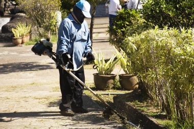 Gardener working and gardening at the garden preparing for thai 
